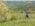 Sumadija trail Adzine Livade 2026