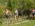 Sumadija trail Adzine Livade 2026