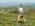 Sumadija trail Adzine Livade 2026