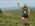 Sumadija trail Adzine Livade 2026