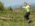 Sumadija trail Adzine Livade 2026