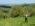 Sumadija trail Adzine Livade 2026