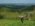 Sumadija trail Adzine Livade 2026