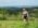 Sumadija trail Adzine Livade 2026