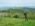 Sumadija trail Adzine Livade 2026
