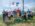 Sumadija trail Adzine Livade 2026
