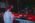 Arsenal Fest 2026