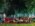 Arsenal Fest 2026