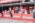 Arsenal Fest 2026