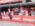 Arsenal Fest 2026